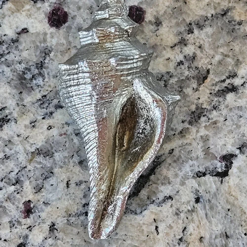 REGINA ANDREW SILVER CONCH SHELL COASTAL BEACH VASE FILLER HOME TABLE DECOR